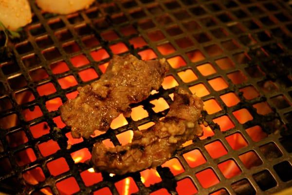 Grilled Harami Skirt Steak