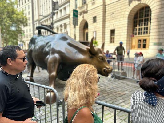 Charging Bull