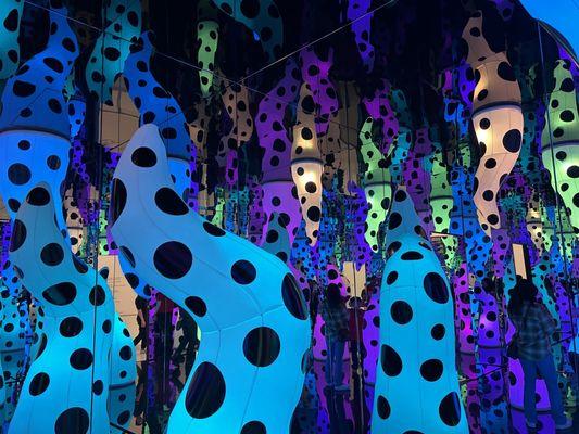 Yayoi Kusama: Infinite Love Exhibit / LOVE IS CALLING ($40)