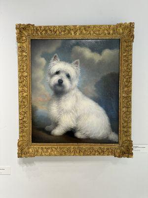 My dog's breed - West highland white terrier