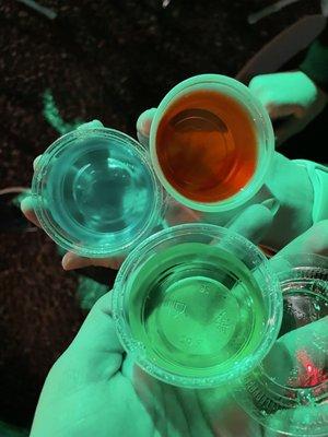 Jell-O shots for st Patrick's party