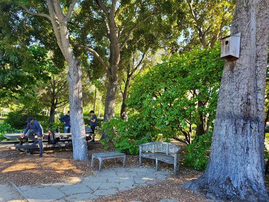 Picnic table/seating