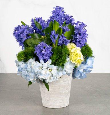 Tatiana - Perfectly plum purple hyacinth bulbs designed with blue hydrangea, green trick in a grey textured 6" ceramic vase.