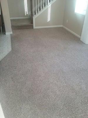 Carpets look brand new and spectacular! Great Job Walter