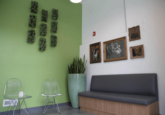 Our green design at Northern Liberties Veterinary Center in Philadelphia provides a soothing experience for you and your pets...