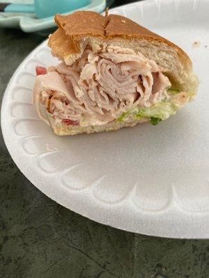 Turkey sub