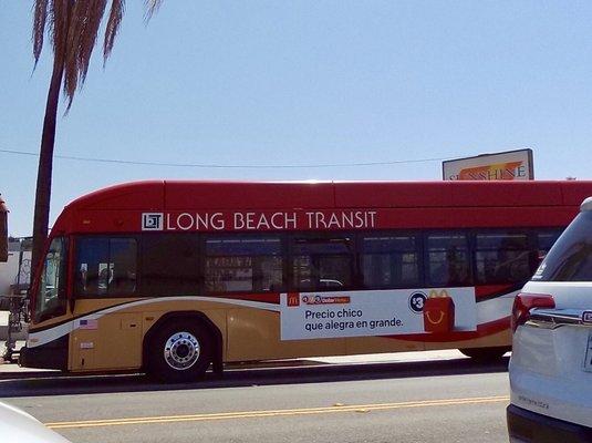 Long Beach Transit - Line 173