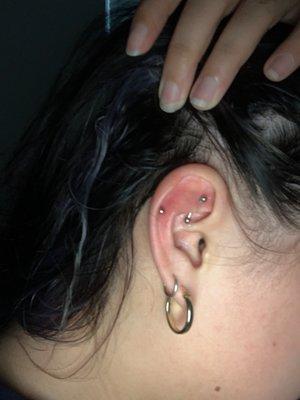 Rook and mid cartilage