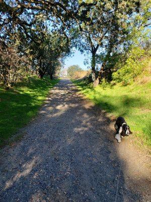 County Road 98 / Pedrick Road Trailhead