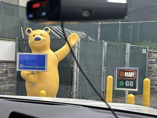 Brown Bear Car Wash