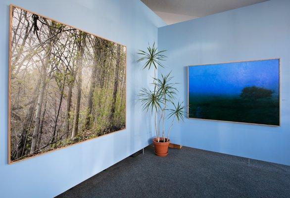 Beautiful "Western New York Landscape" pieces printed & framed by Buffalo Big Print and on display in the gallery.