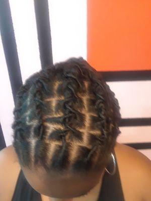 Starter locs without the bug chop