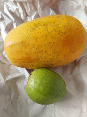 Tropical fruits papaya and guava