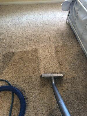 Half way to clean carpet