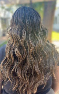 Bronde Full Highlight