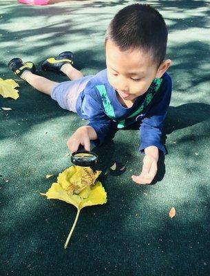 Playing at Bumblebee school playground.