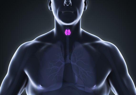 Our board-certified physicians specialize in all conditions and diseases of the thyroid.