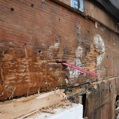 One Way To Test If You Have Dry Rot