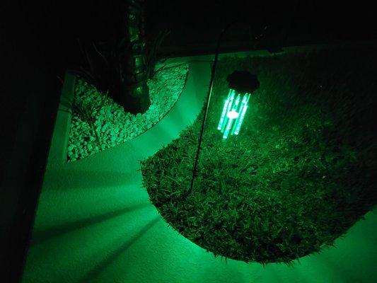 Night image, but they also created this cool grass patch & planter area that my little dogs love!