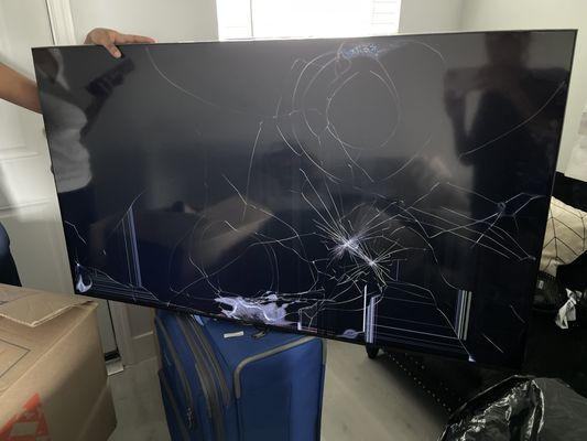 Owner Erik stated I broke my own tv