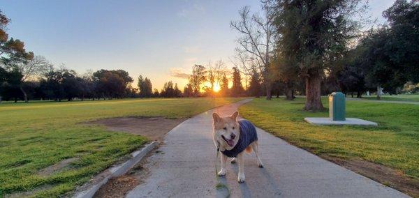 Clear skies, sunrise, crisp morning air