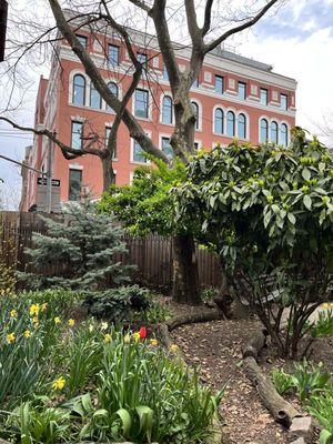 M'Finda Kalunga Community Garden