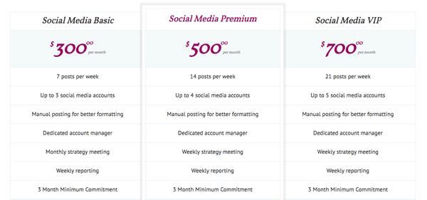 Initial 3 month pricing offer for first time clients (minimum 3 month commitment)