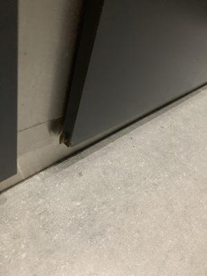 roach 1 in the elevator