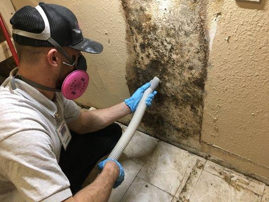 mold removal