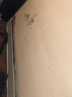 Mold behind the bed.