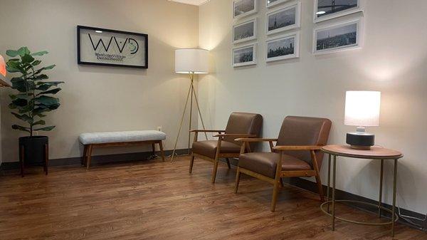 Calming reception  area with aroma therapy and salt lamps