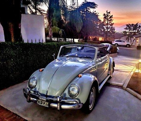 My 1966 vw bug