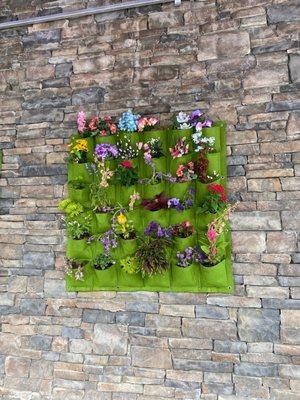 Patio Flowers