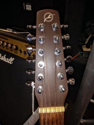 Seagull 12 string.