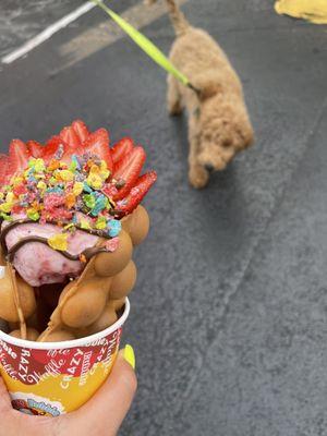 "la negra" bubble waffle and my puppy Bruno!