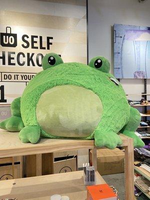 This frog is big in size. Currently on sale for less than $100