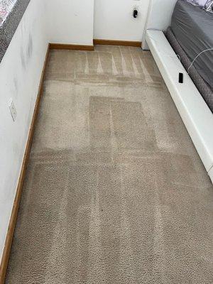 So satisfying seeing a fresh cleaned Carpet