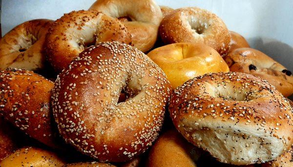 Fresh Bagels