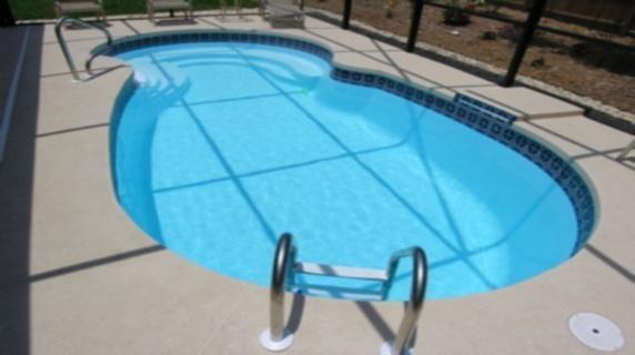 Laguna 11x23 pool with 3.5'-5.5' depth