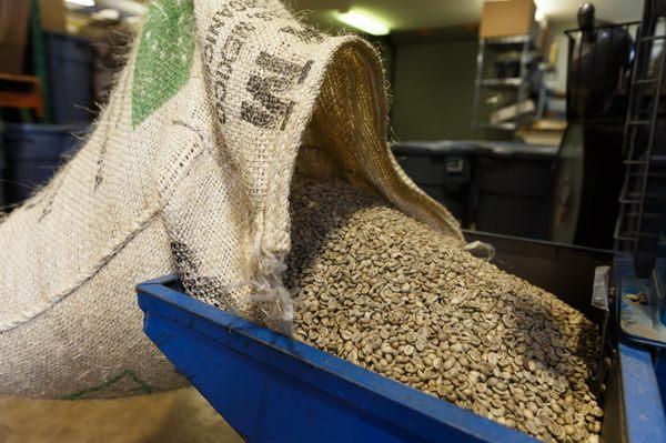 Green coffee beans - visit our website to learn more about our fresh roasted-to-order coffee.