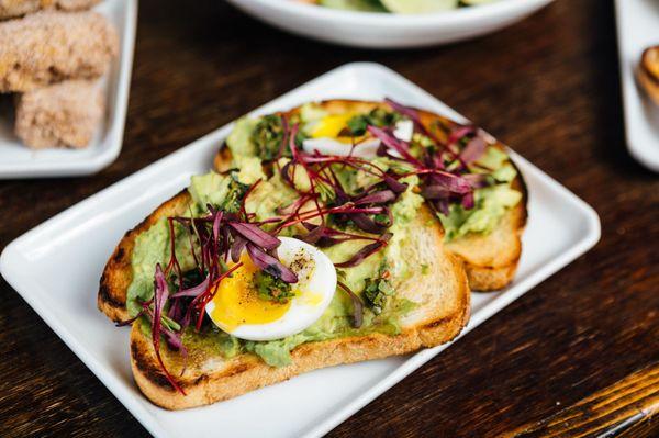 Avo Toast with six min. egg, chimichurri and micro greens.