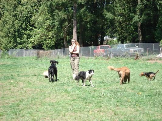 Summer Day in our Private Dog Park