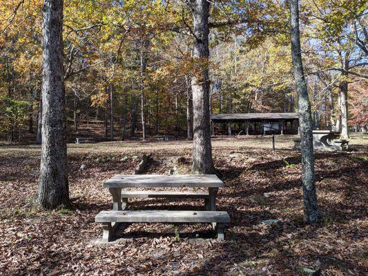 Cloudland Canyon State Park