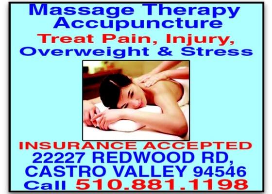 Massage Therapy and Acupuncture to treat pain, injury, overweight & stress.  Insurance Accepted!