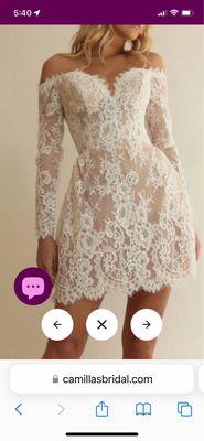 Dress I thought I was purchasing. Beautiful lace with nude lining. No obvious "in your face" breast pads pictured.