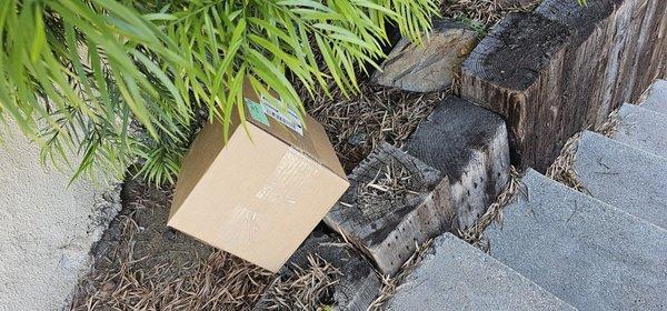 Expensive wound care supplies thrown into a planter.