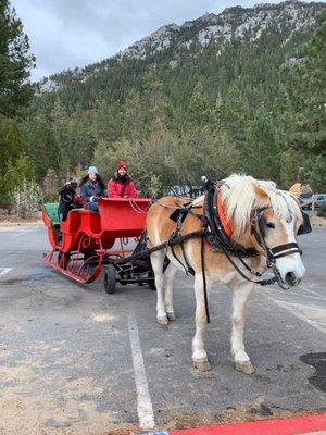 Tahoe Sleigh & Carriage Rides