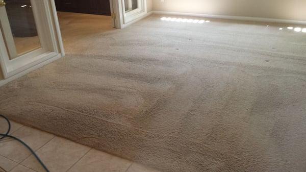 Dirty Carpet After Power Scrub (1st step in dual Process)