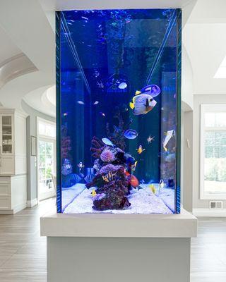 Side Panel View Of this Custom Reef Aquarium. This Built-in aquarium was designed by Aqua Creations as a Kitchen Peninsula  room divider