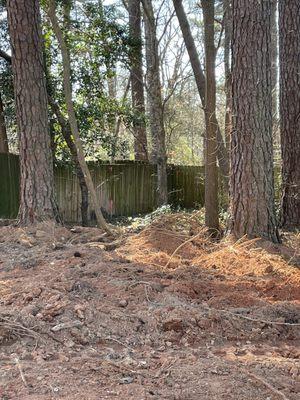 Huge mounds of dirt where it used to be flat